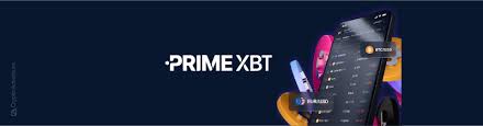PrimeXBT vs Pocket Option A Comprehensive Analysis of Trading Platforms PrimeXBT vs Pocket Option A Comprehensive Analysis of Trading Platforms