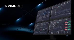 The Power Behind Success An Insight into the PrimeXBT Team The Power Behind Success An Insight into the PrimeXBT Team