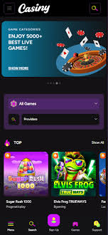 The Ultimate Guide to Casiny Partners Maximizing Your Gaming Experience The Ultimate Guide to Casiny Partners Maximizing Your Gaming Experience