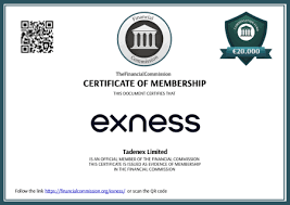 Comprehensive Guide to Spreads on Exness