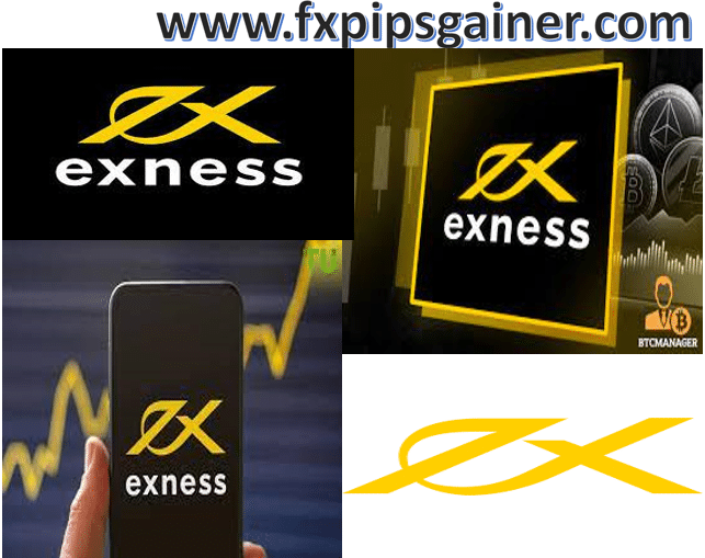 Essential Documents Required For Exness Verification 15